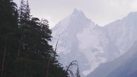 North Caucasus Mountain Landscape with Pine Forest Stock Footage 320852116