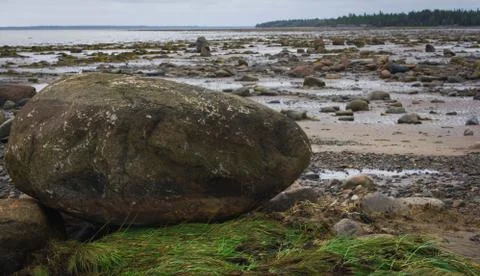 North coast at low tide Stock Photos