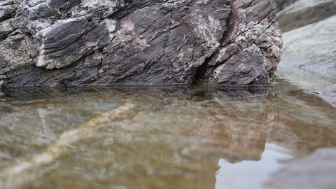 North coast rock pool with gently moving water Stock Footage 86129482