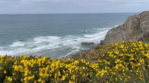 North Cornwall coast, UK Stock Footage 241577496