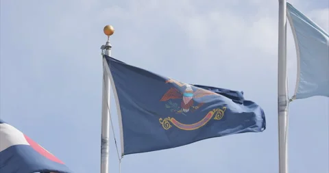 North Dakota State Flag Stock Footage 284896685