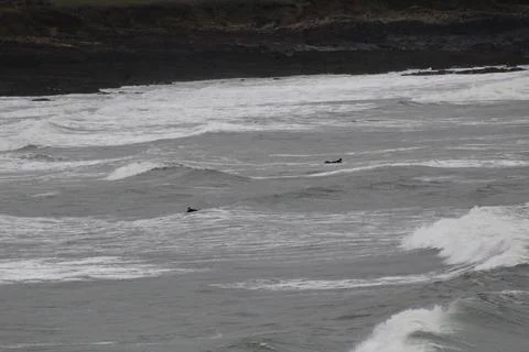 North Devon Stock Photos