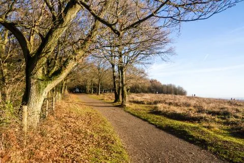North Downs Stock Photos
