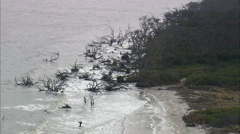 North End Of Blackbeard Island Stock Footage 65431484