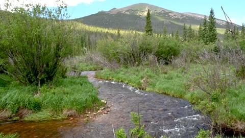 North Fork Big Thompson River Stock Footage 157077452