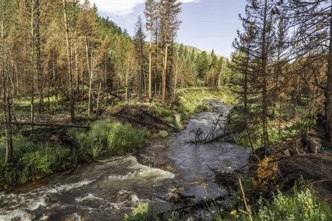 North Fork Big Thompson River Stock Photos