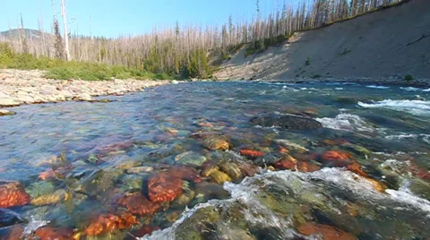 North Fork Flathead River Montana Video stock 35064277