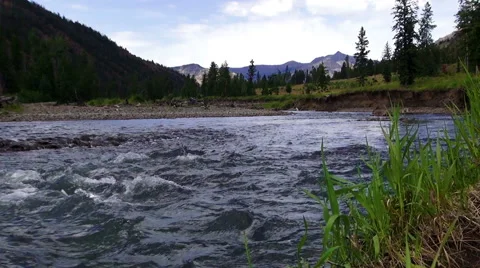 North Fork Shoshone River Seamless Loop Vídeos de archivo 56606337