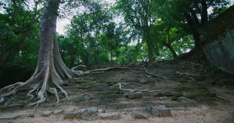 North Gate During Sunset Time at Angkor Thom in Siem Reap, Cambodia Stock Footage 149291495