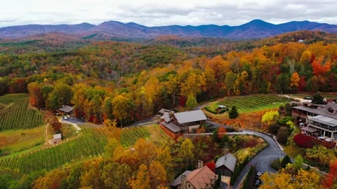North Georgia Winery in Fall Stock Footage 143298073