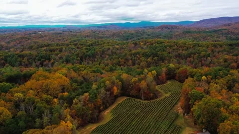North Georgia Winery in Fall Stock Footage 143298090