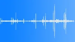 North Island Kokako AdultSound Effect