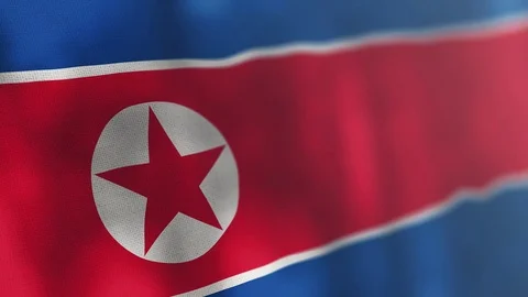 North Korea flag animated 스톡 동영상 80597655