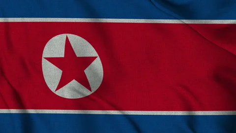 North Korea Flag Animation Seamless Loop Waving in the Wind — 3D Animation 4K 스톡 동영상 320596191