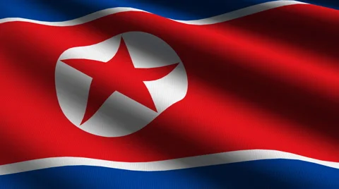 North Korea flag close up Stock Footage 936087