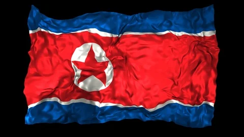 North Korea flag Stock Footage 110825482
