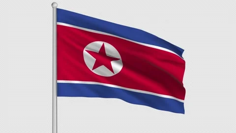 North Korea Flag Stock-Footage 208867197