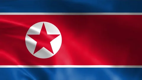 North Korea Flag Stock Footage 262499990