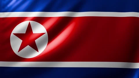 North korea flag Video stock 327069412