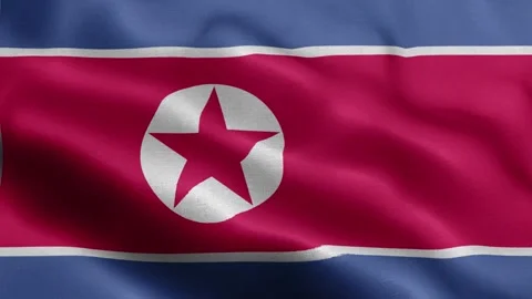 North Korea flag Front Stock Footage 318667702
