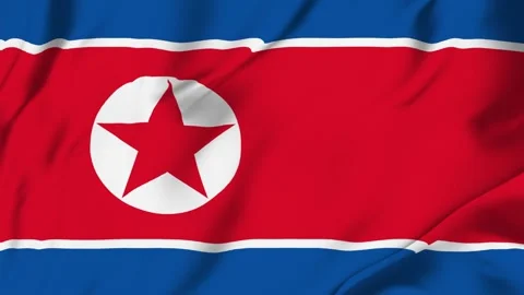 North korea flag loop animation with fabric texture, seamless waving backgrou Stock Footage 342673131