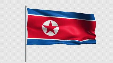 North Korea flag - Pack 1 Stock Footage 342290206