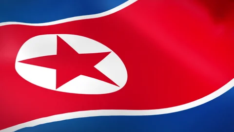 North Korea flag - Pack 2 Stock Footage 342290020