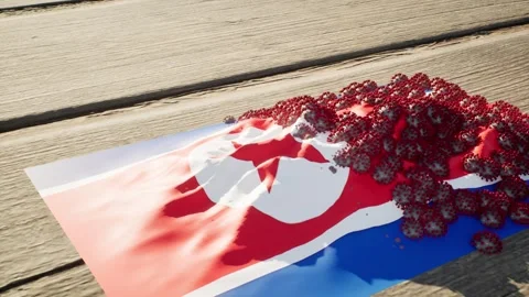 North Korea Flag - Virus Growth Stock-Footage 320291908