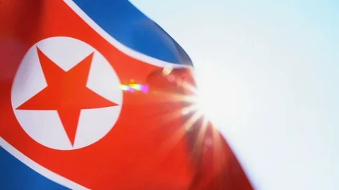 North Korean Flag Flapping Stock Footage 118964200