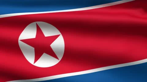 The North Korean flag Video stock 11863364