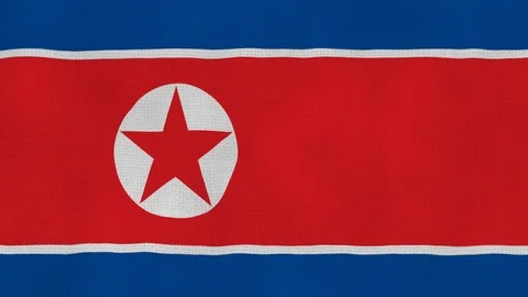 North korean flag waving Stock Footage 102641575