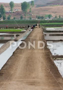 North Korean people working in salt evaporation ponds, South Pyongan Province Stock Photos