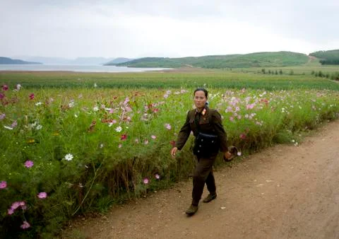 North Korean soldier woman in the countryside, North Hwanghae Province, Kaeso Stock Photos