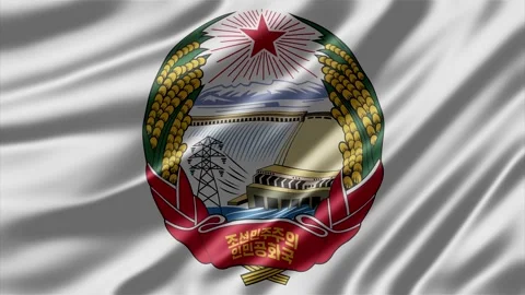 North Korean state emblem Stock-Footage 344167579