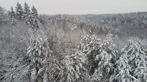 North landscape. Stock Footage 147040058