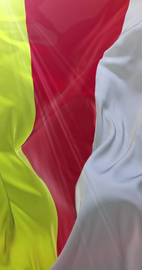 North Ossetia flag. 4K Vertical. Loop Video stock 301788309