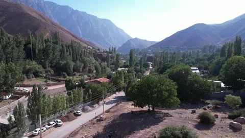 North Road corridor of tall poplars shades a paved valley route, Stock Footage 343805979