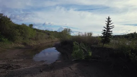 North Saskaatchewan River in Edmonton, Canada 스톡 동영상 337081356