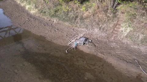 North Saskaatchewan River in Edmonton, Canada Видео 337081374
