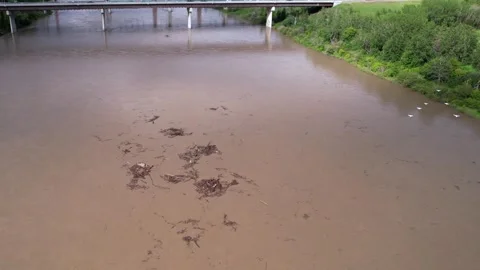 North Saskaatchewan River in Edmonton, Canada, Flood Event Stock Footage 337911136