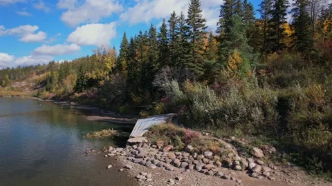 North Saskatchewan River Fall, October 3, 2024 Stock Footage 287345621