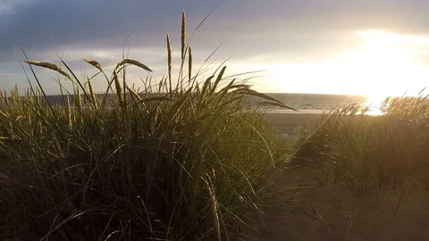 North Sea Beach In The Sunset Sand Dunes GoPro 01 Stock Footage 98091629