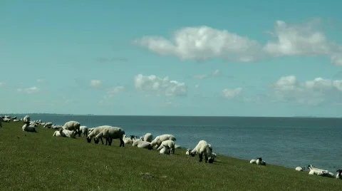 North sea dyke Stock Footage 729514