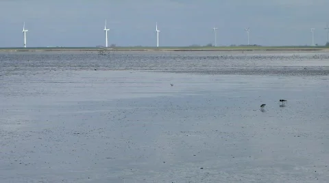 North Sea 库存影片 709364