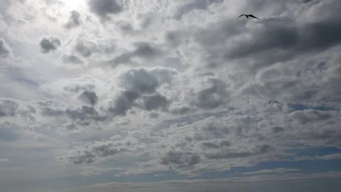 The North sea Stock Footage 265550776