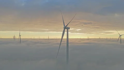 North Sea wind turbines rise from calm water, showing Dutch renewable progress. Stock Footage 321891753