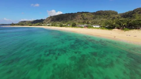 North shore Stock Footage 317542433