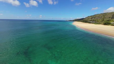 North shore Stock Footage 317542434