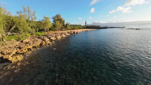 North shore Stock Footage 317542684