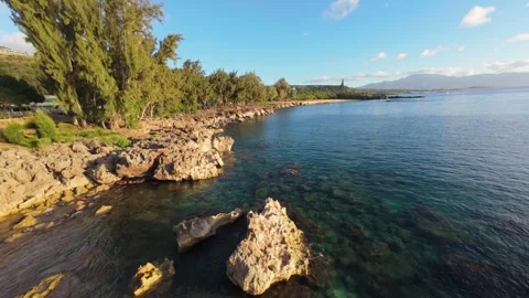 North shore Stock Footage 317542726